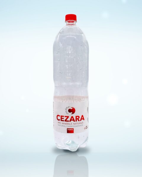 Cezara Forte- 2L